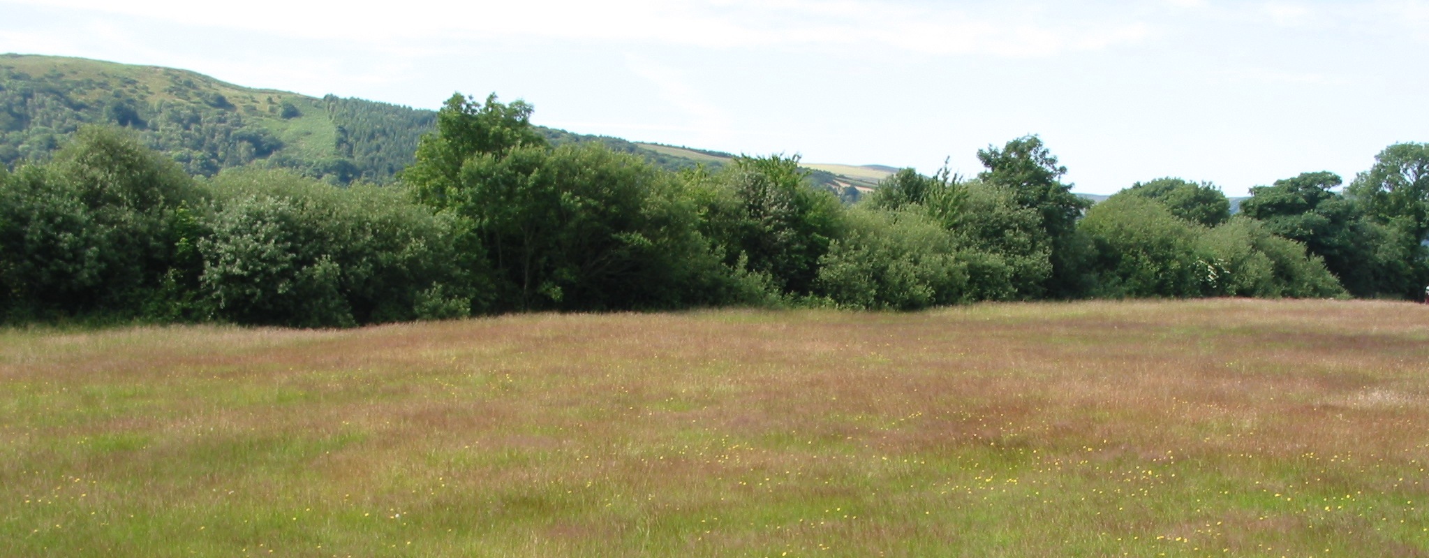 Manx Landscape